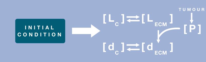 Github Nanodips Website - Amazing Minimal Photo - HD