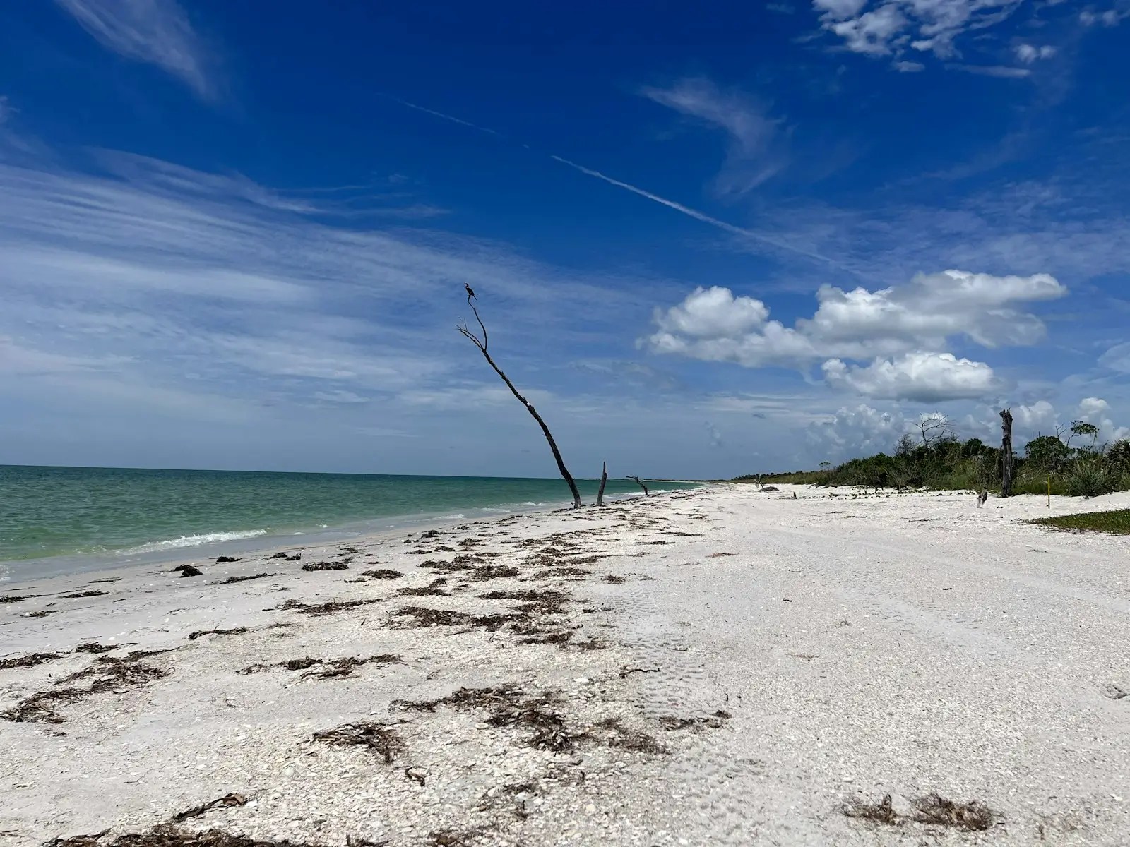 Estero Southwest Florida coastline