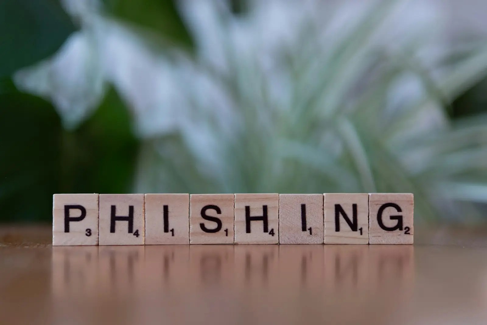 Phishing security warning