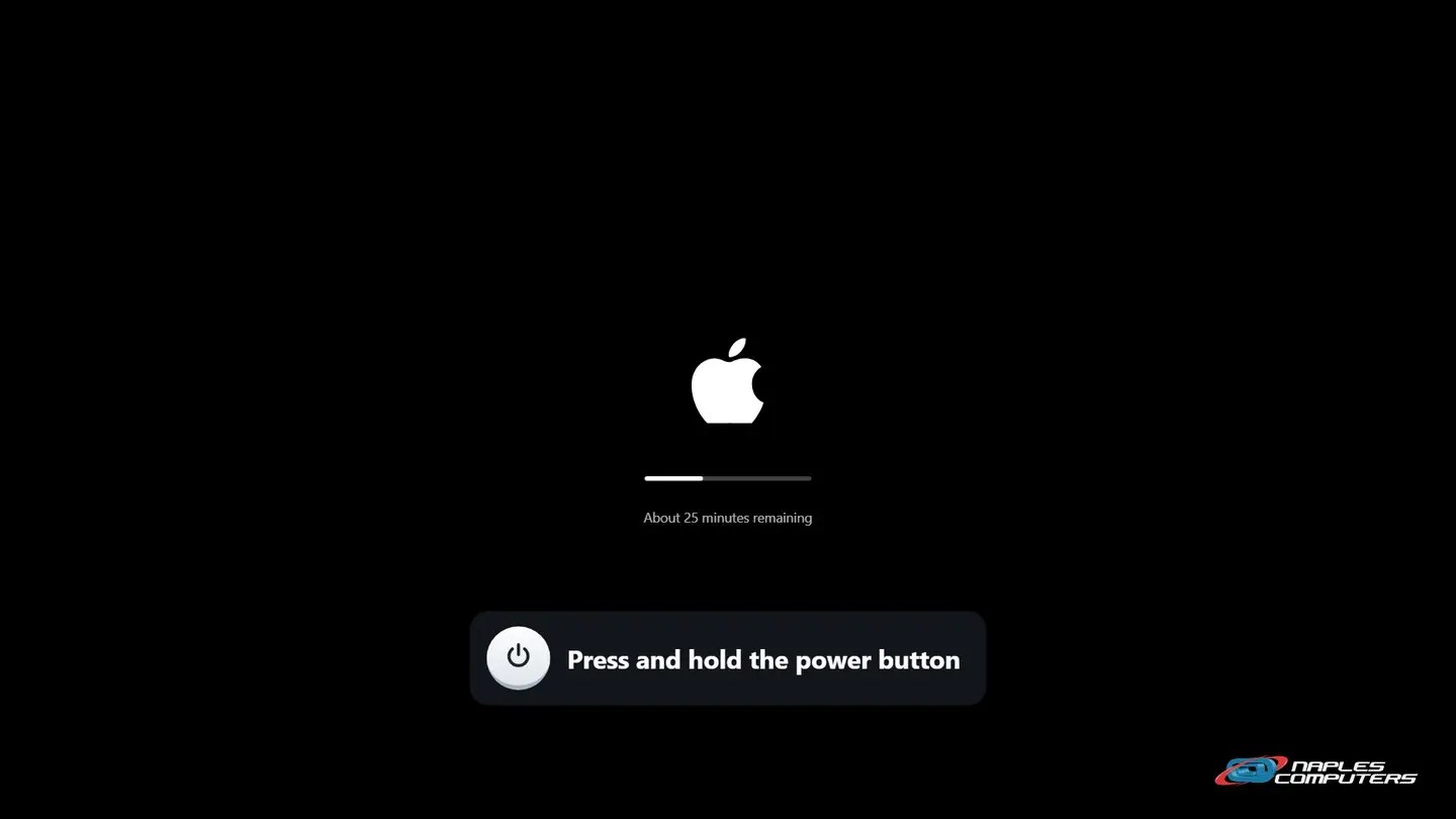 Step 3: Truly frozen? Hold the power button, then start up again