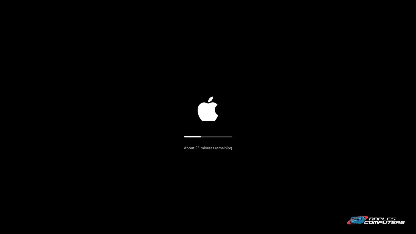 Mac update stuck: Step 1: Apple logo and progress bar? Give it time