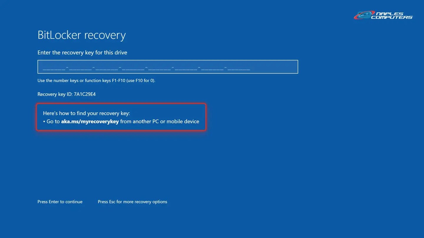 BitLocker recovery screen? You'll need your recovery key