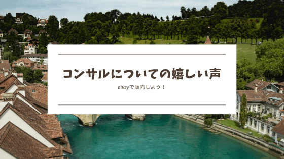 ebay コンサル生の声