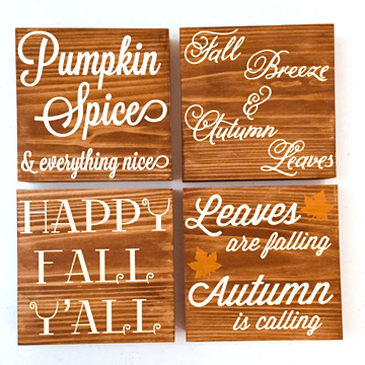 Fall Collection