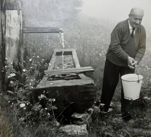 Heidegger Coursecompendium - High Resolution Nature Photos for Desktop