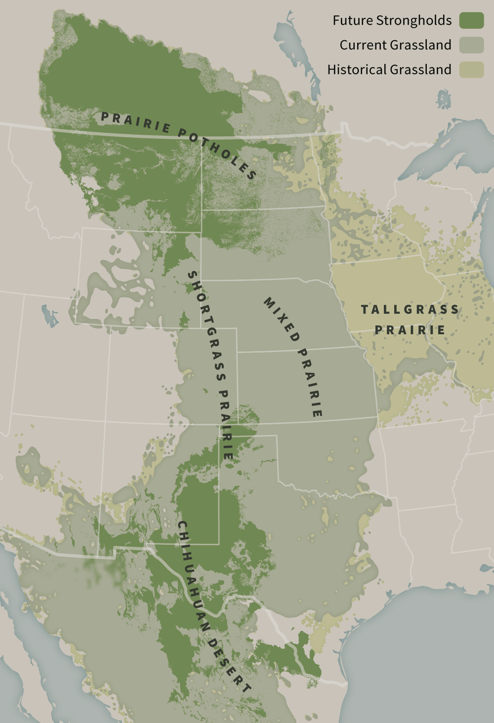 Americas Grasslands Temperate Subtropical Grasslands Savannahs In 