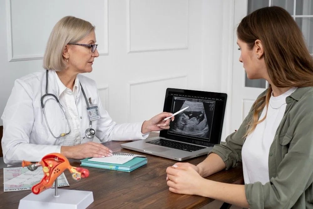 Your Day by Day Embryo Transfer Journey: What to Expect and More