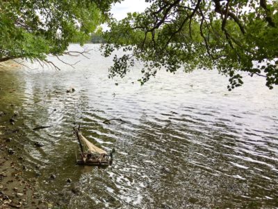 Kleines Bötchen im Ruppiner See. Oliver Numrich