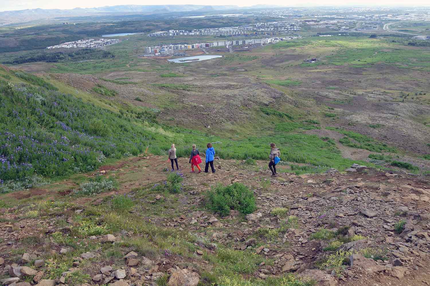 Ulfarsfell