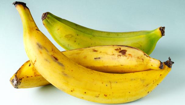 Bananas