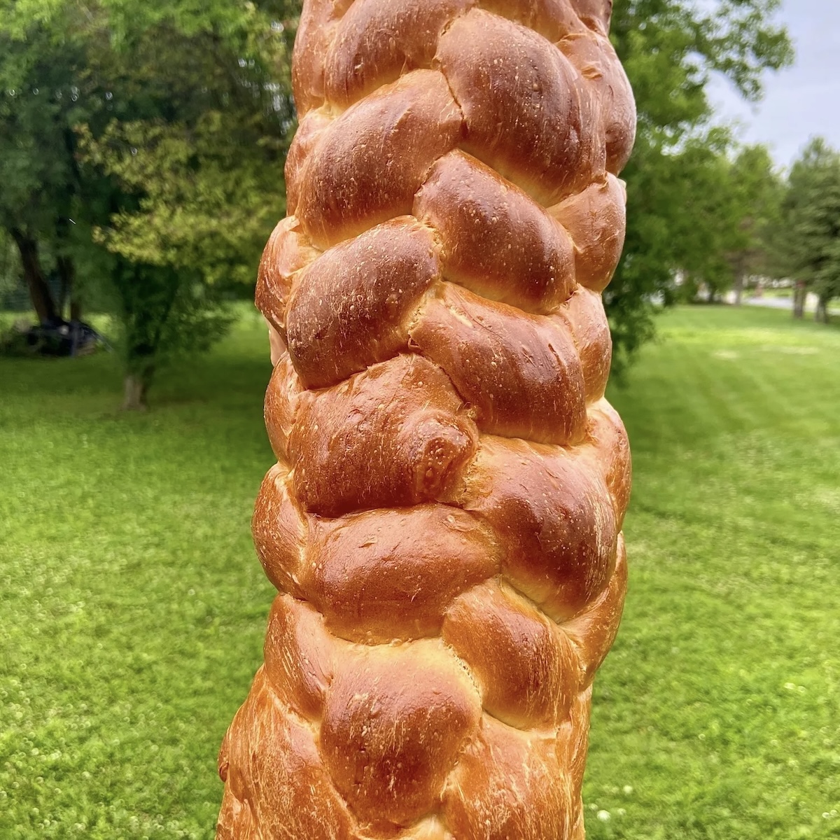 Sourdough Challah Bread