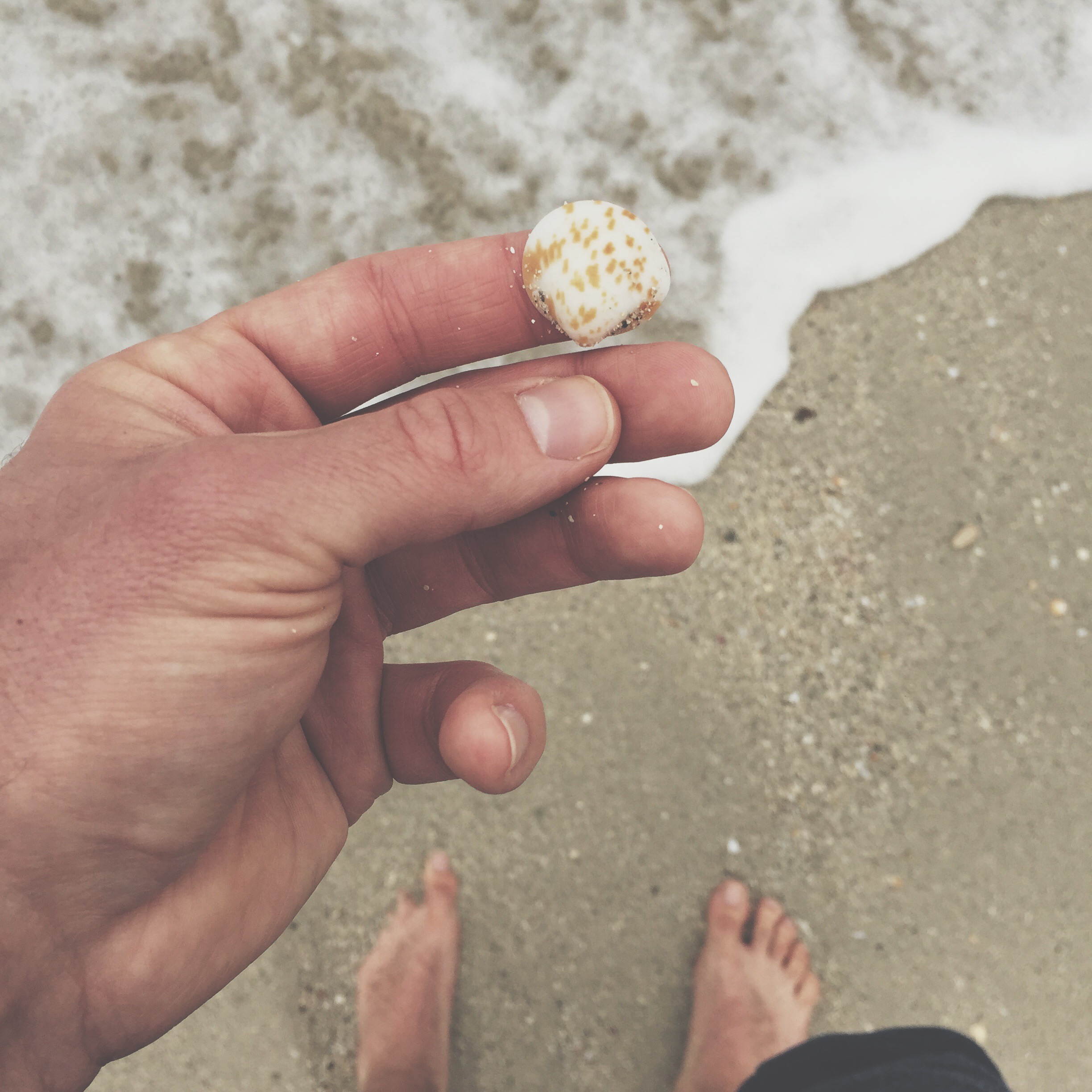 Searching for seashells along the beach.