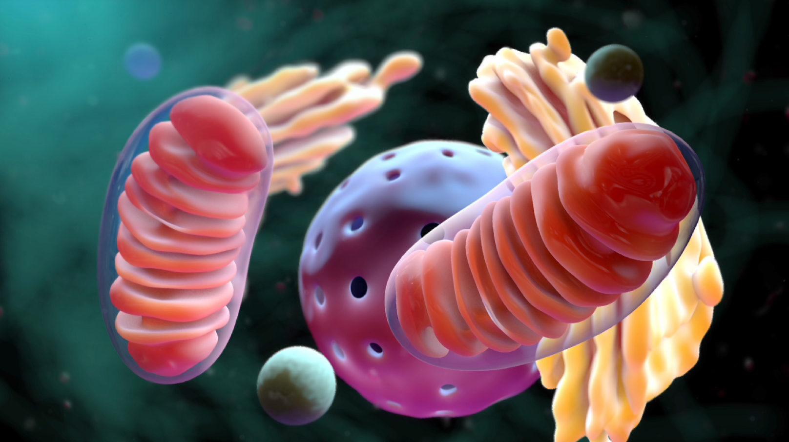 moa mitochondria cell medical animation