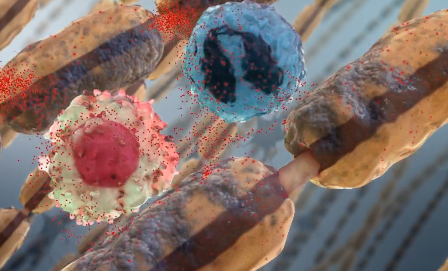 MS Myelin Sheath Attack MOA