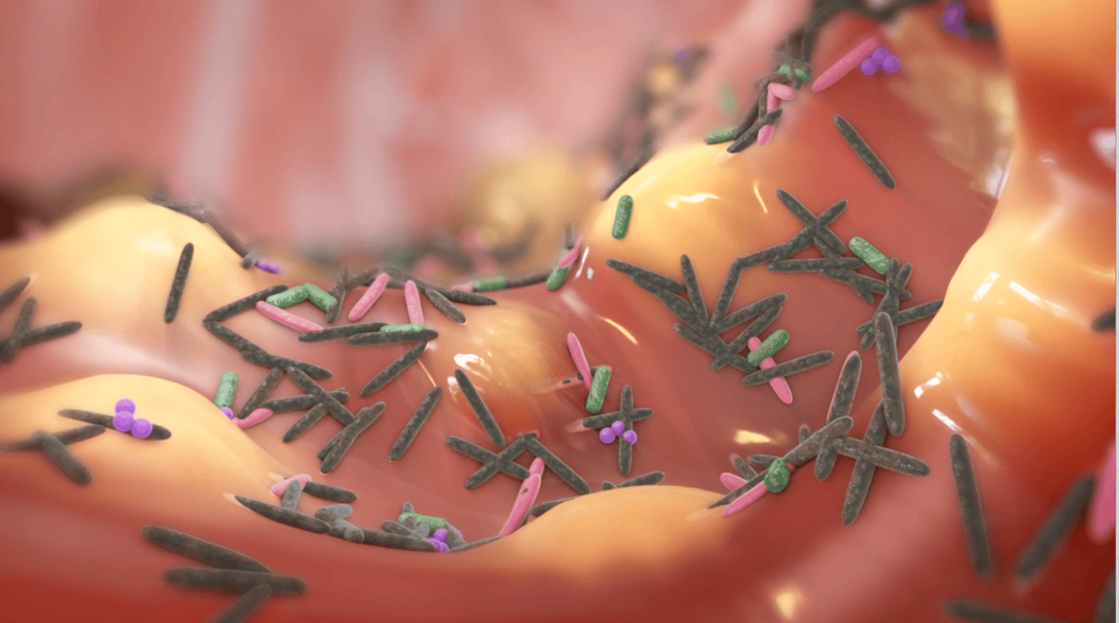 Colitis Drug Medical Animation MOA