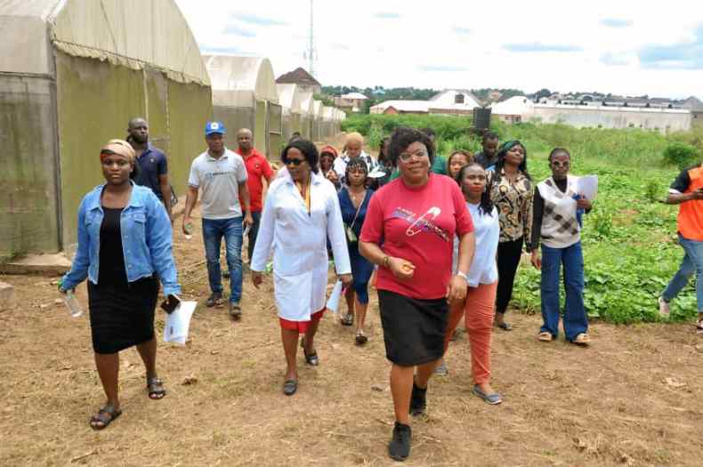 Food Security: MOUAU Empowers Abia Youths on Tomato/Pepper Production, Processing