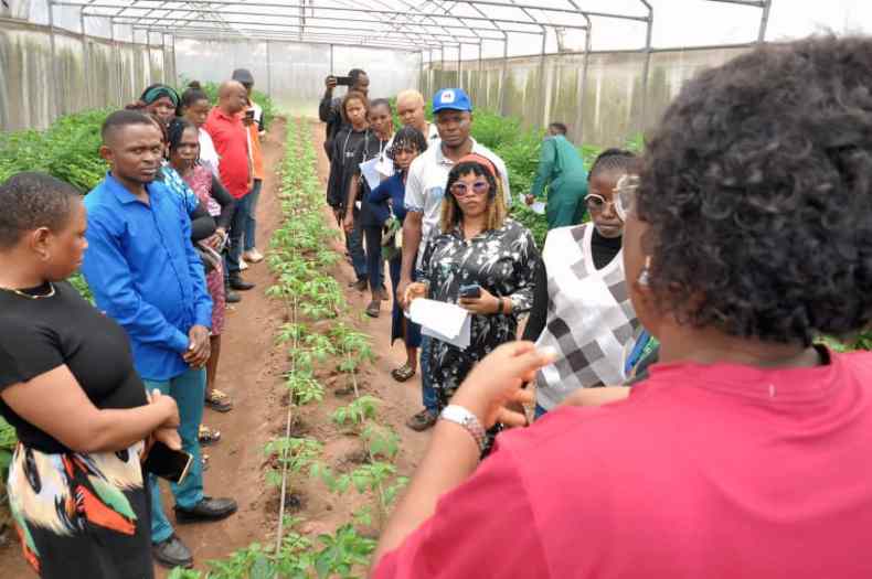 Food Security: MOUAU Empowers Abia Youths on Tomato/Pepper Production, Processing