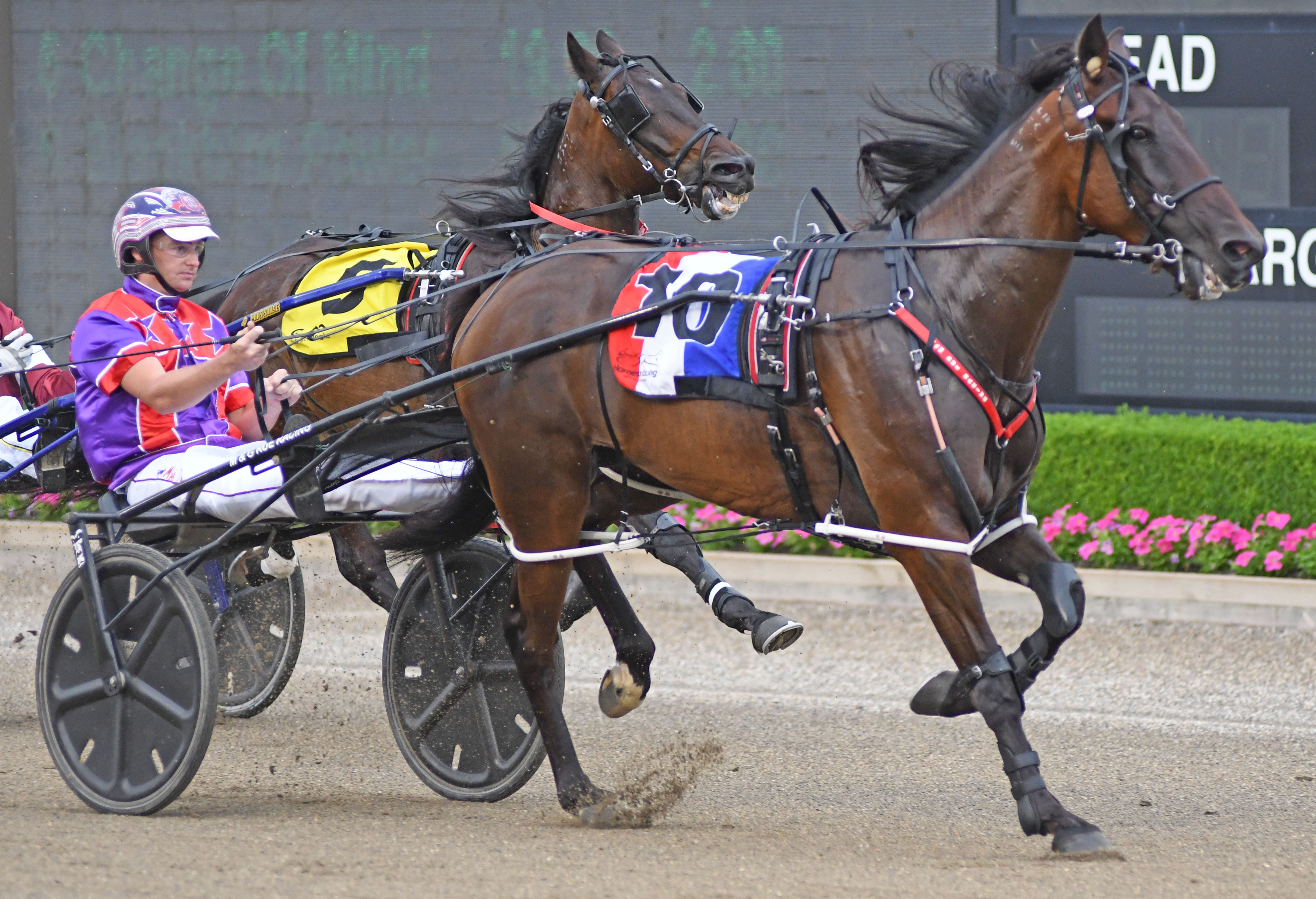 Well-placed kick puts Mat in the hot seat
