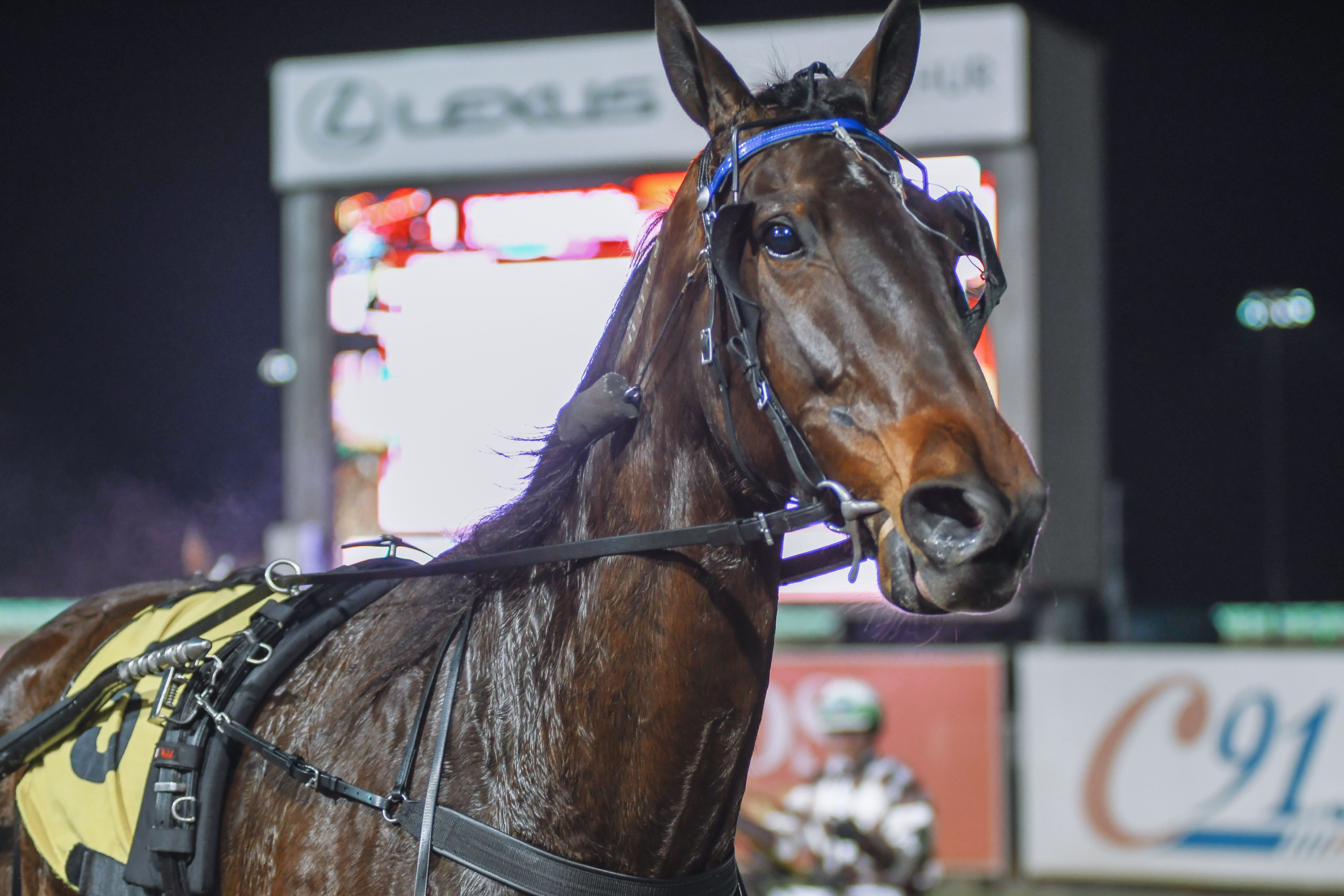 All the winners for Menangle on Saturday night