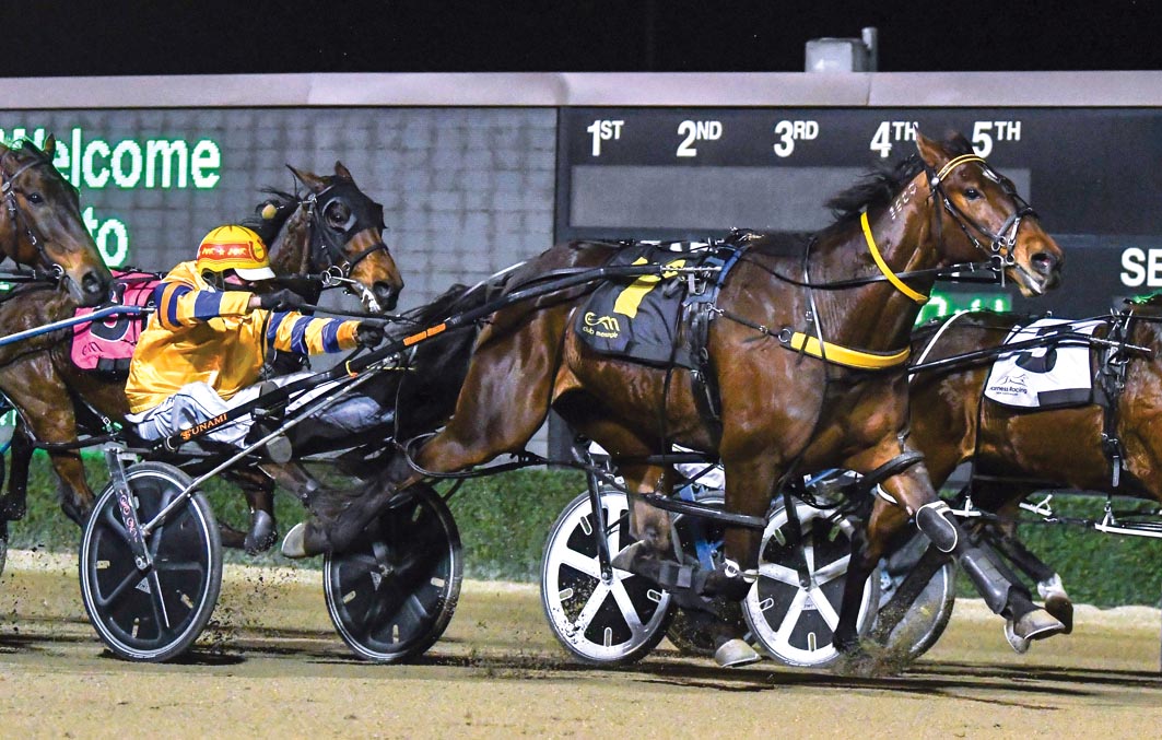 FINDING WINNERS: Here’s the ones to follow at Menangle Saturday night