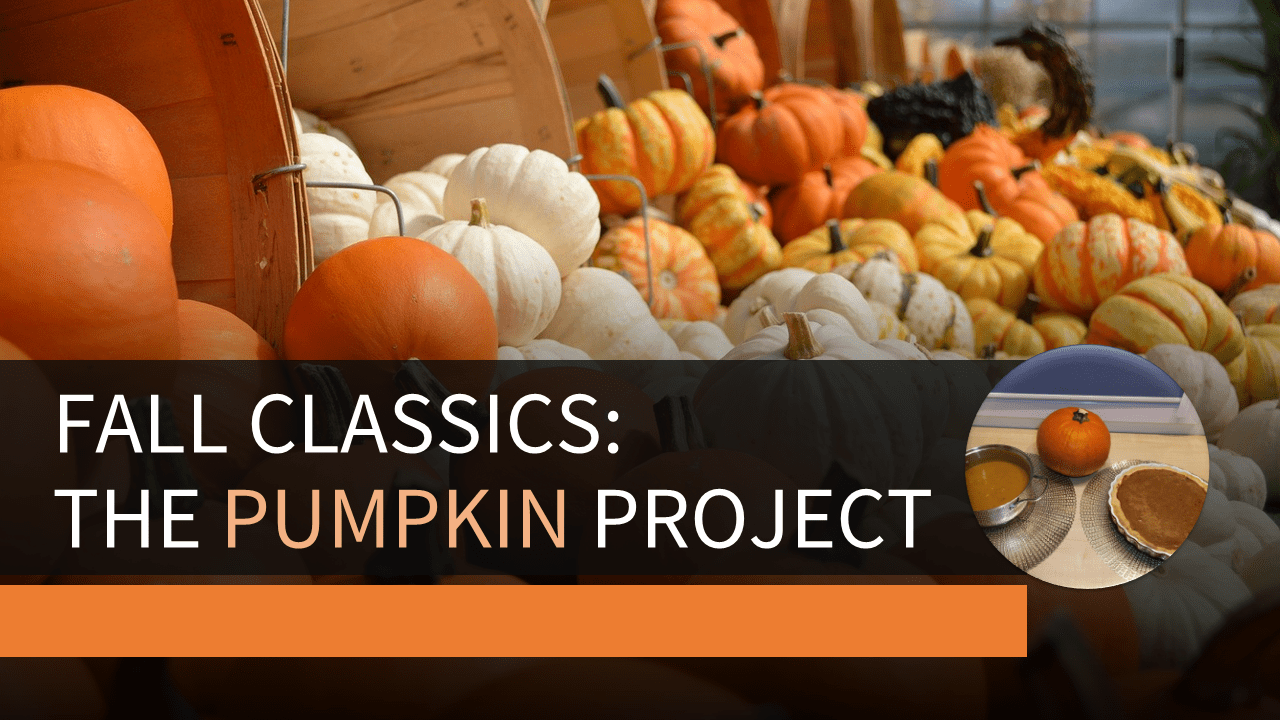 A Video Course teaching you how to make a pumpkin soup and pie from one pumpkin