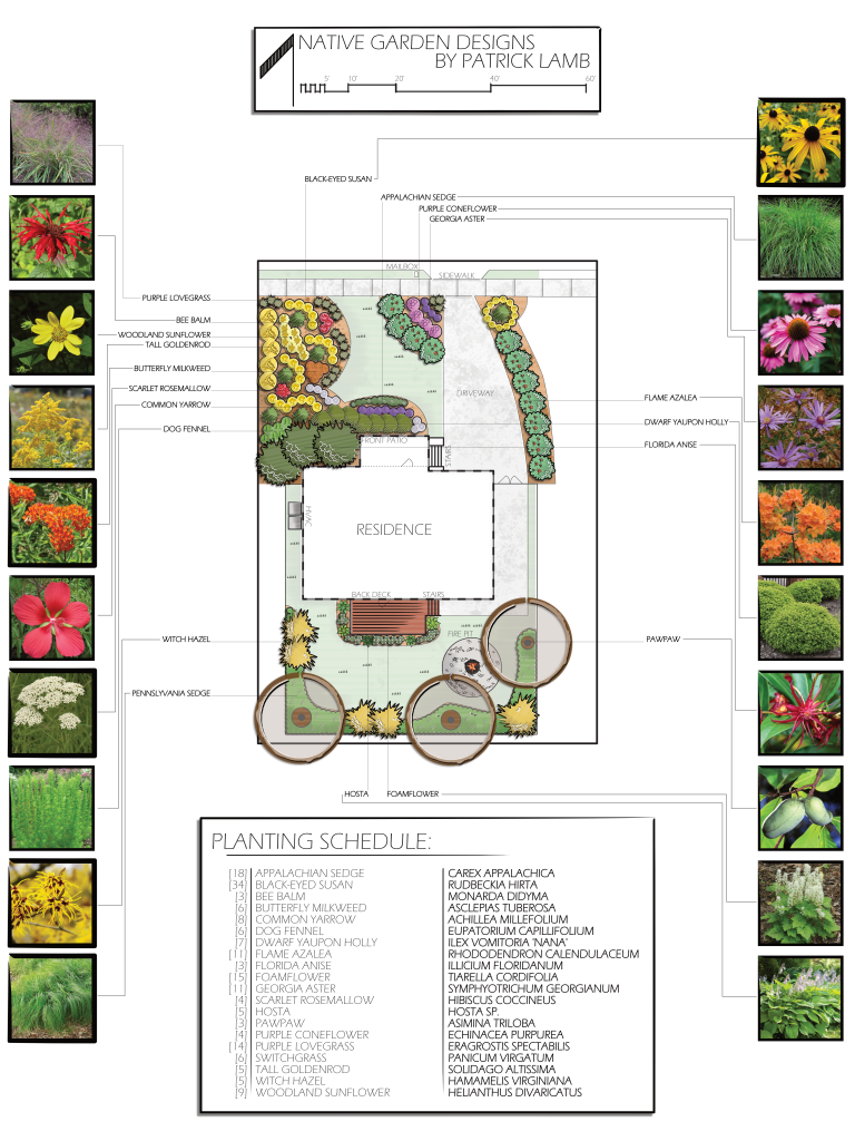 A detailed landscape design plan for a native garden, featuring various native plants and flowers along with a planting schedule. The layout includes sections for a house, driveway, mailbox, and areas designated for specific plants such as Appalachian sedge, black-eyed Susan, and butterfly milkweed.