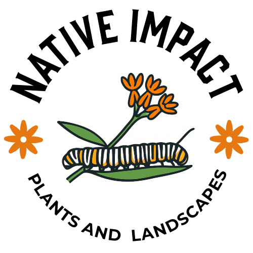 Native Impact – Plants and Landscapes