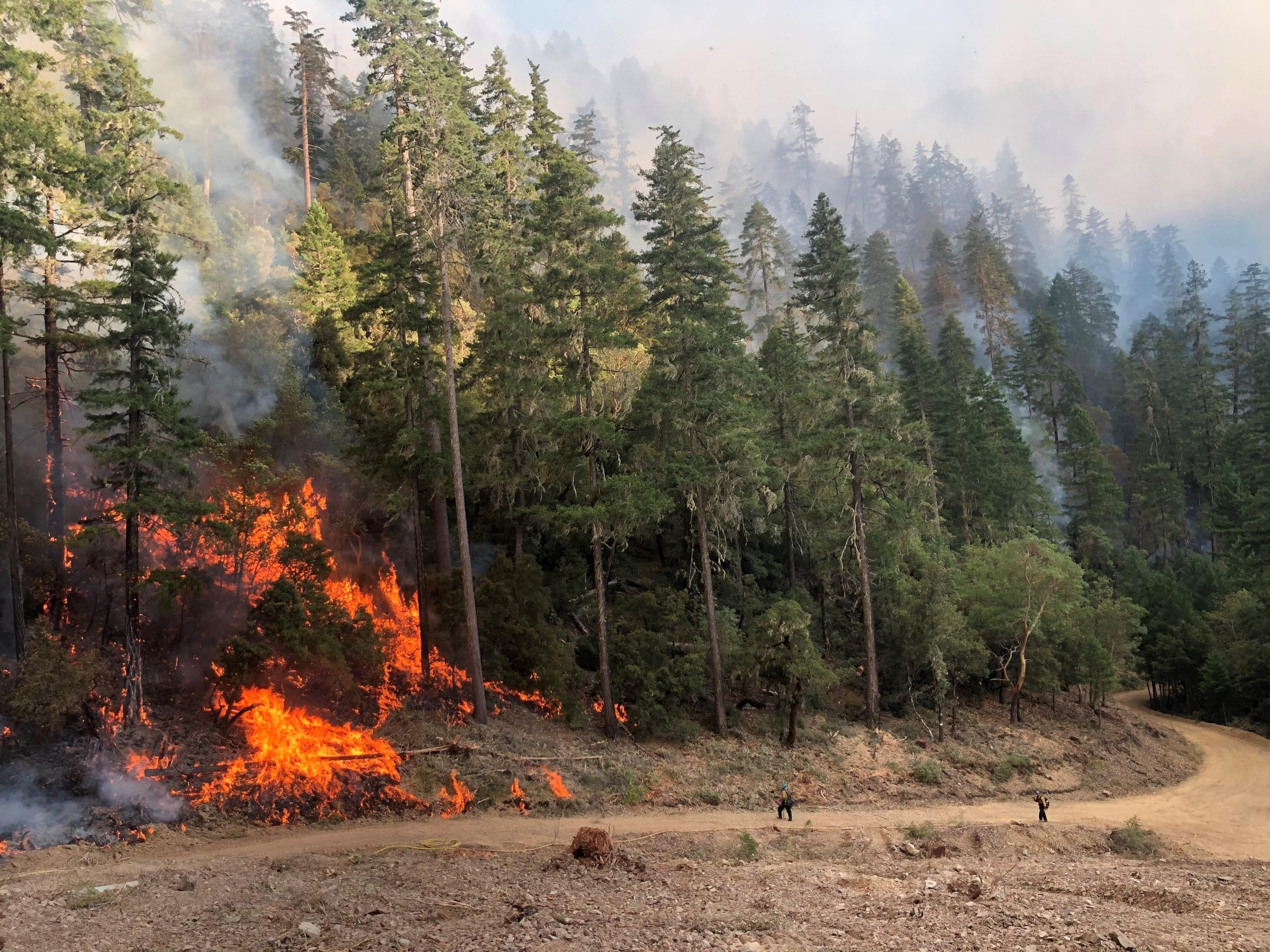 The Red Salmon Complex fire, which started in late July after a lightning strike, has already burned more than 23,000 acres in the lands near the Hoopa Valley and Yurok reservations. (Photo: Inciweb)