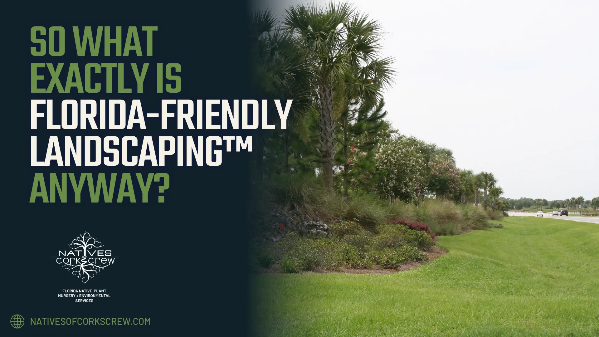 South Florida native landscape with palm trees and native plantings beside text reading “So What Exactly Is Florida-Friendly Landscaping™ Anyway?” from Natives of Corkscrew.