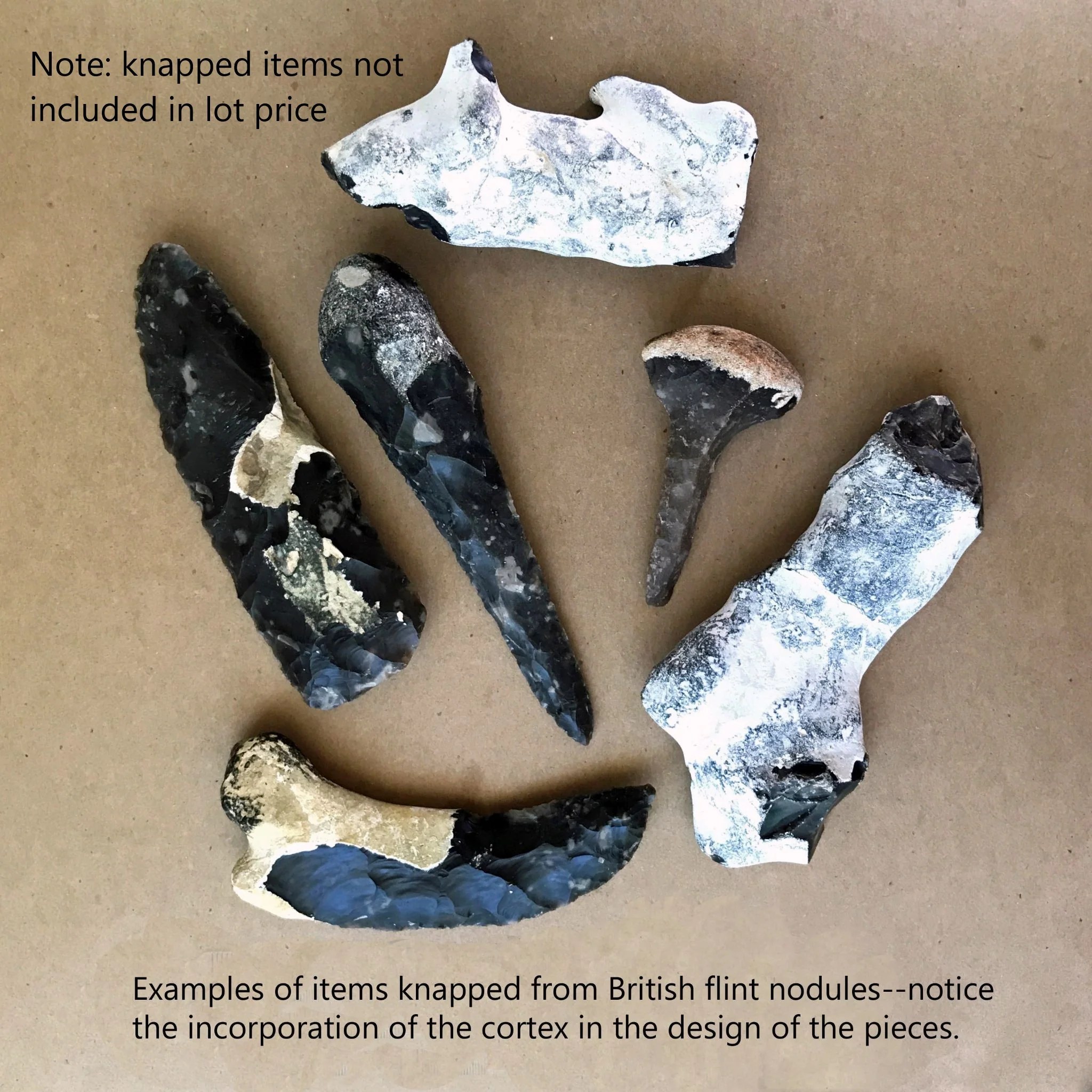 English flint nodule specimens with cortex -- medium