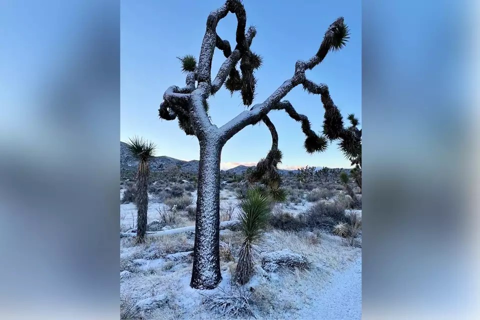 Alexandra Glass was visiting the park with her husband when it started to snow.