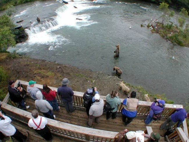 Brooks Camp is a popular destination for people and bears.