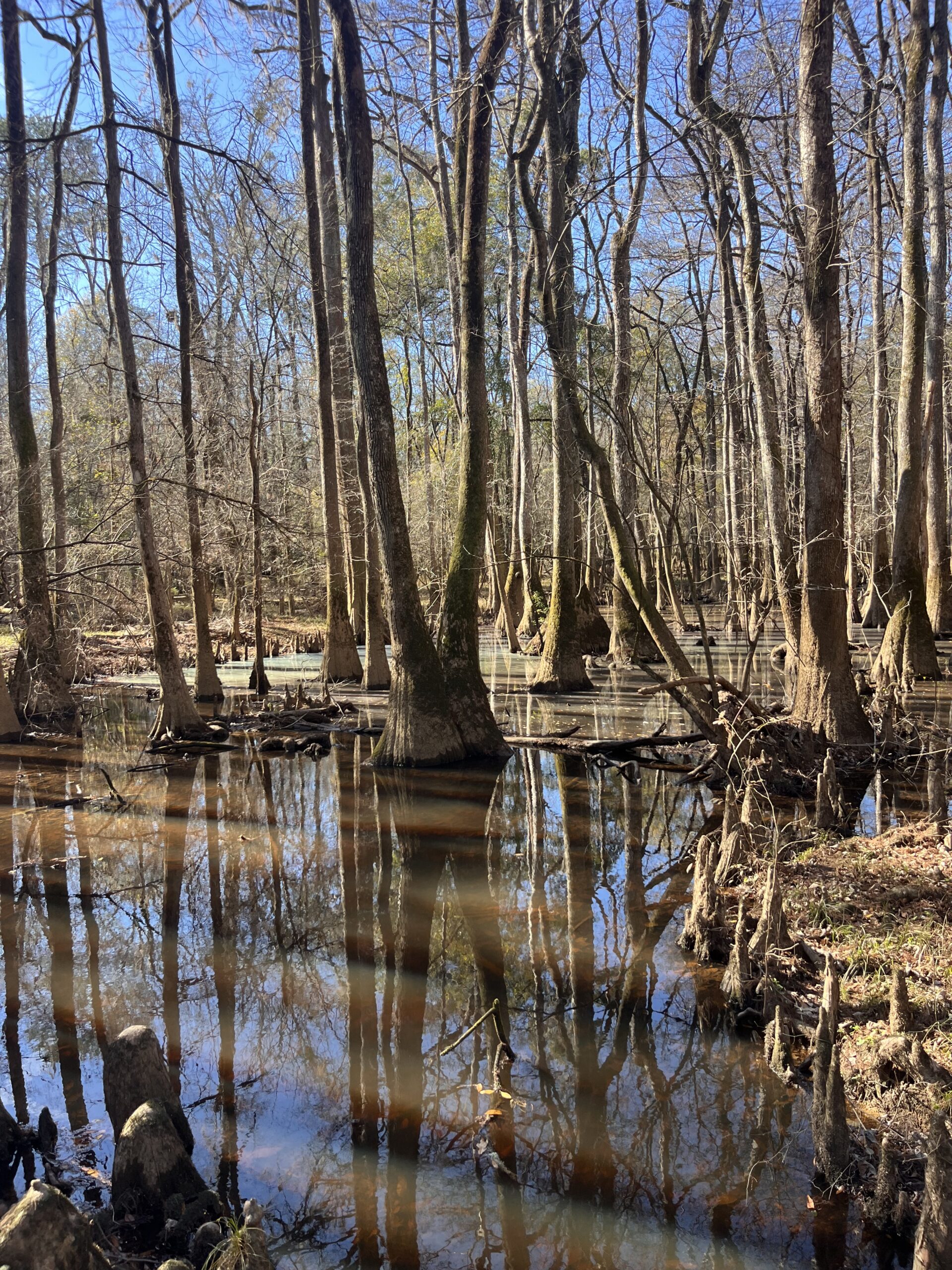 Congaree National Park