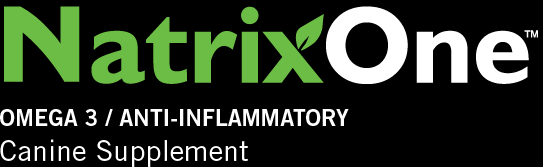 NatrixOne Omega 3 / Anti Inflammatory
