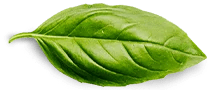 Natural Probio