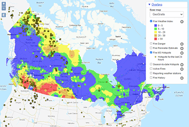 How To Prevent Forest Fires In Canada 