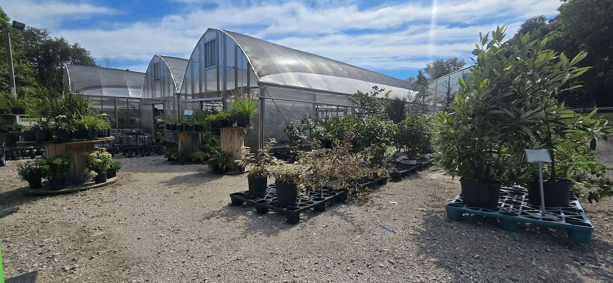 End of Season Sale at Natural Creations — Don’t Miss These Deals Before Summer’s Out