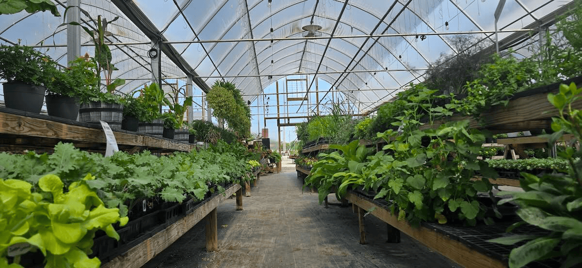 Fall Gardening in Central Ohio: What to Plant, What to Do, and Why September Is the Secret Season