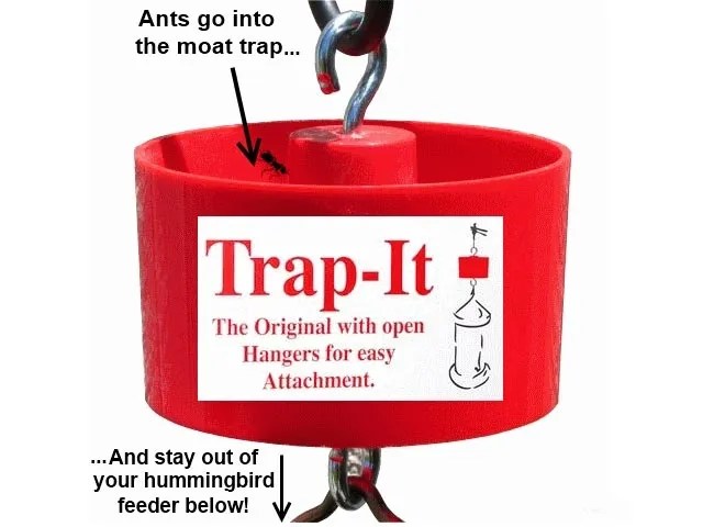 Ant Moat Trap