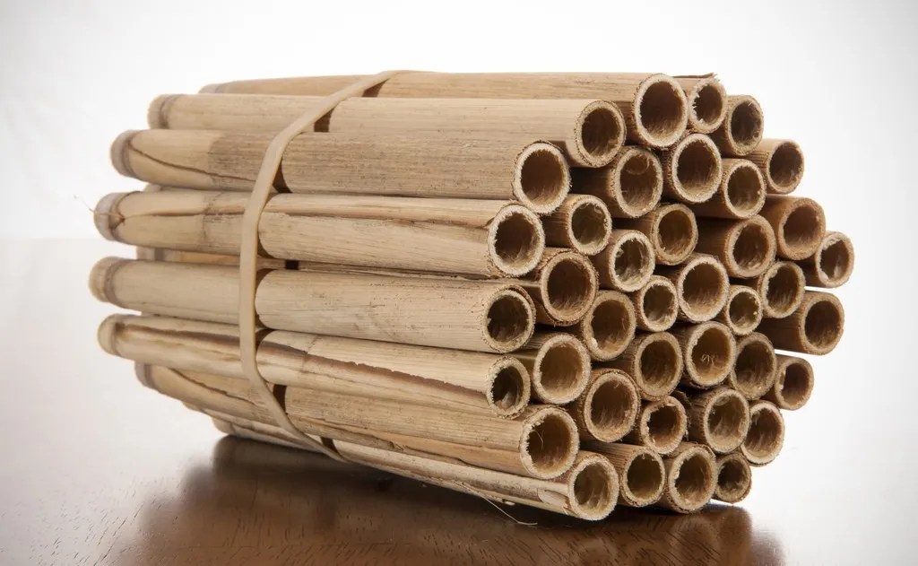 Mason And Leafcutter Bee Reeds