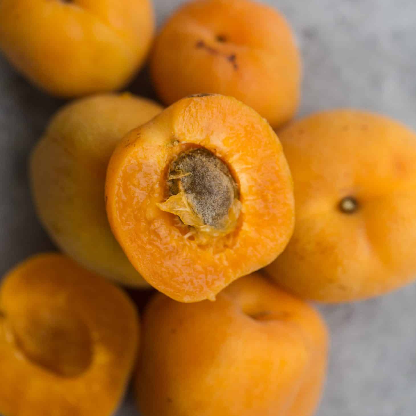 Apricot recipes, storage, and cooking tips