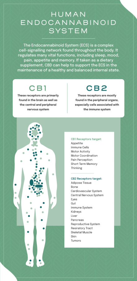 CBD and Gaming