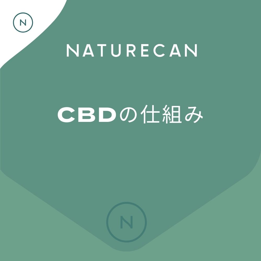 カンナビノイドとは？CBD・CBN・CBGの違いと仕組み