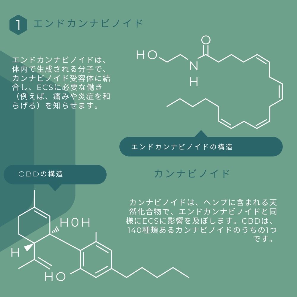 3.jpg?fit=1000,1000&ssl=1