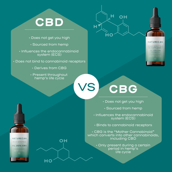 CBD vs CBG Table Infographic