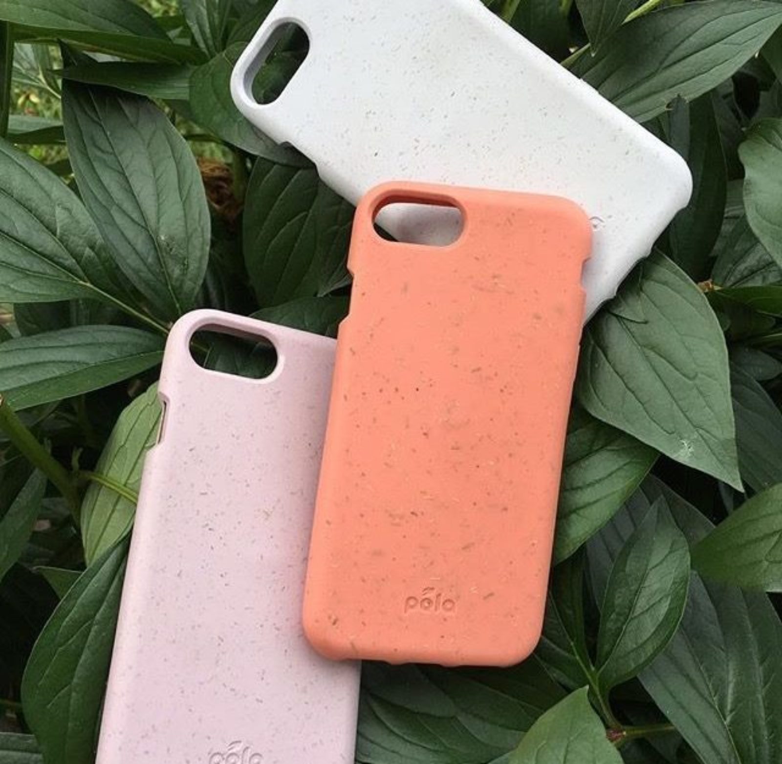 The best eco friendly phone cases [2021]