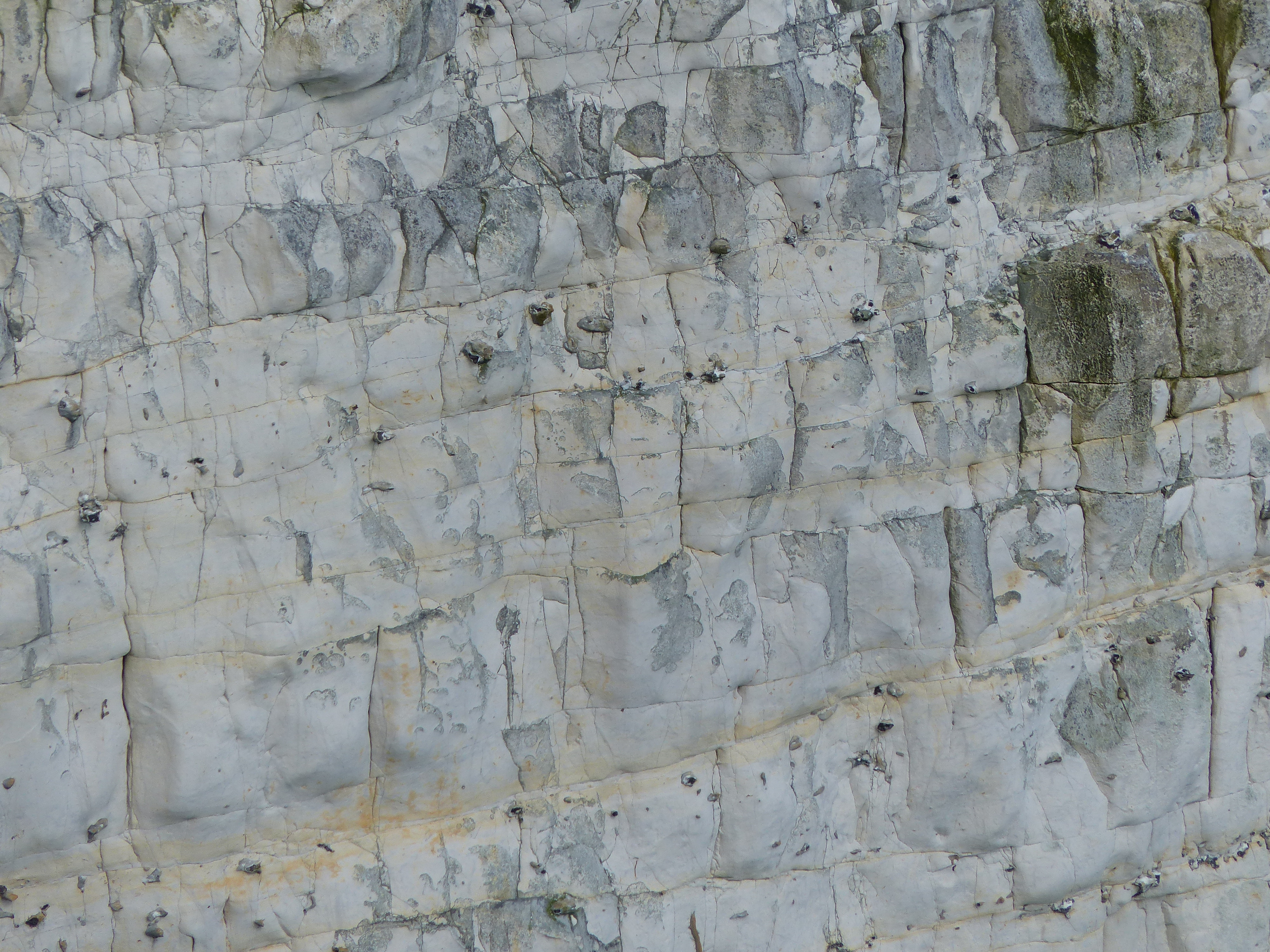 Chalk pattern and texture in cliffs at Studland Bay