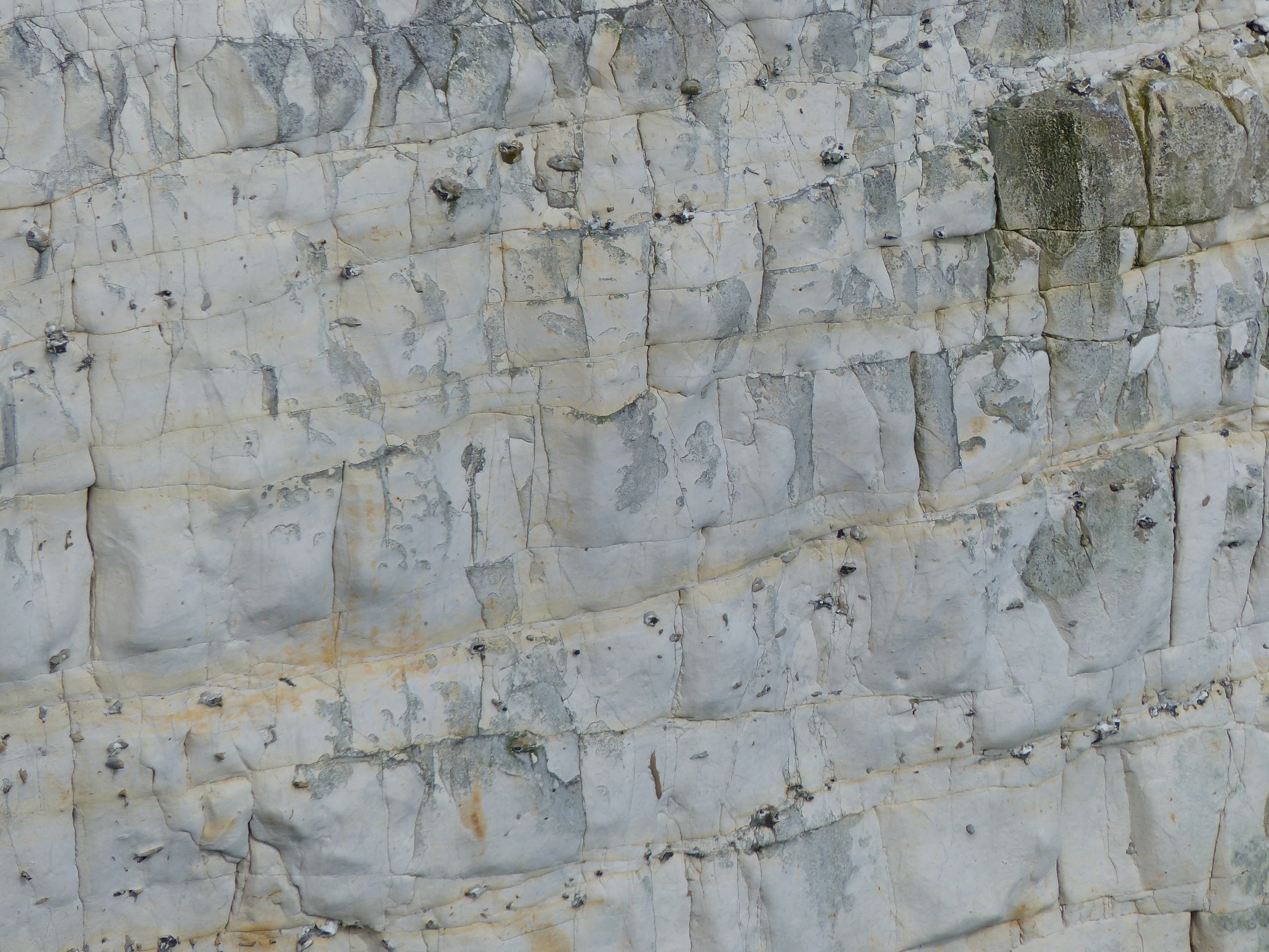 Chalk pattern and texture in cliffs at Studland Bay