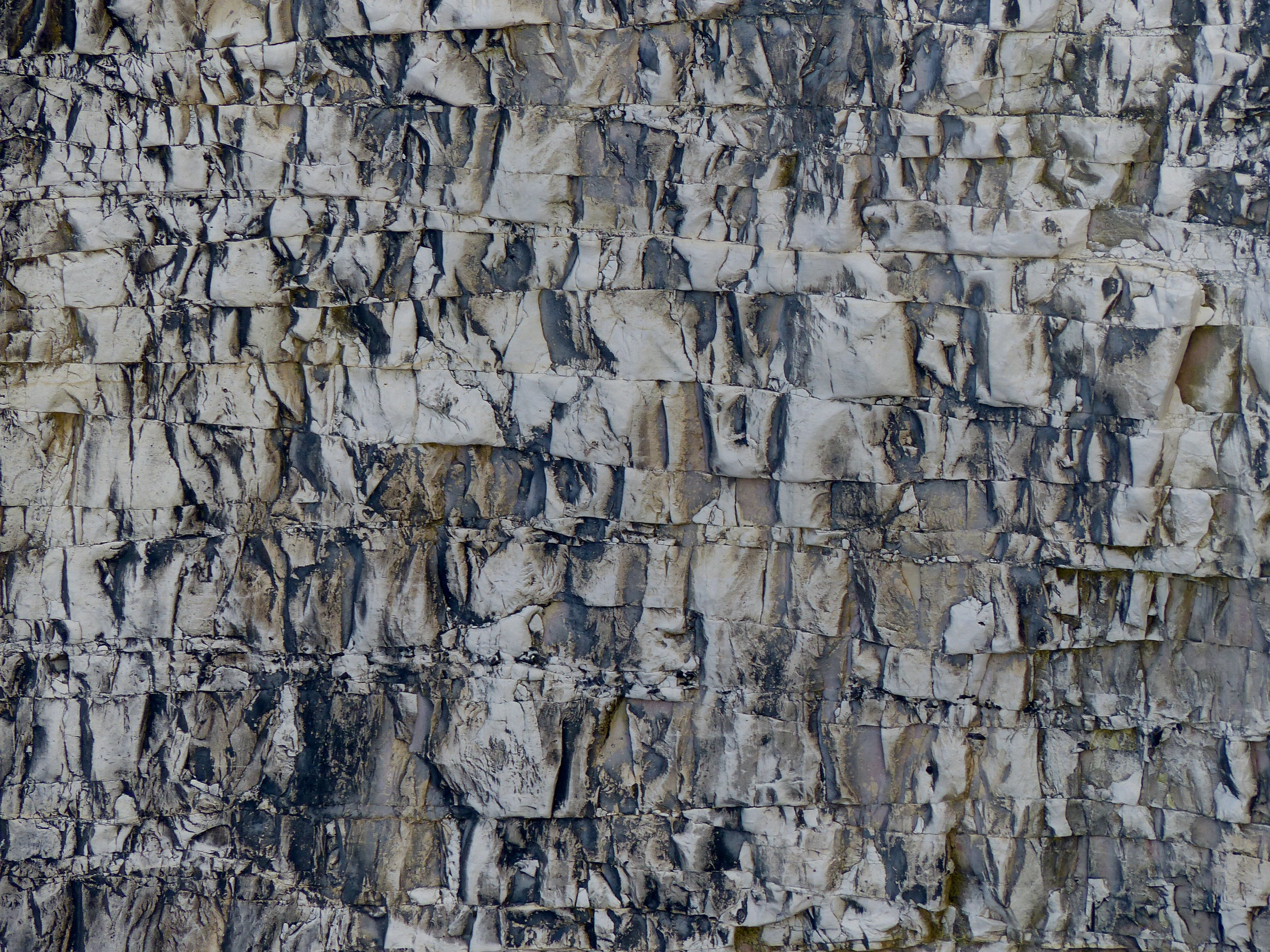 Chalk pattern and texture in cliffs at Studland Bay