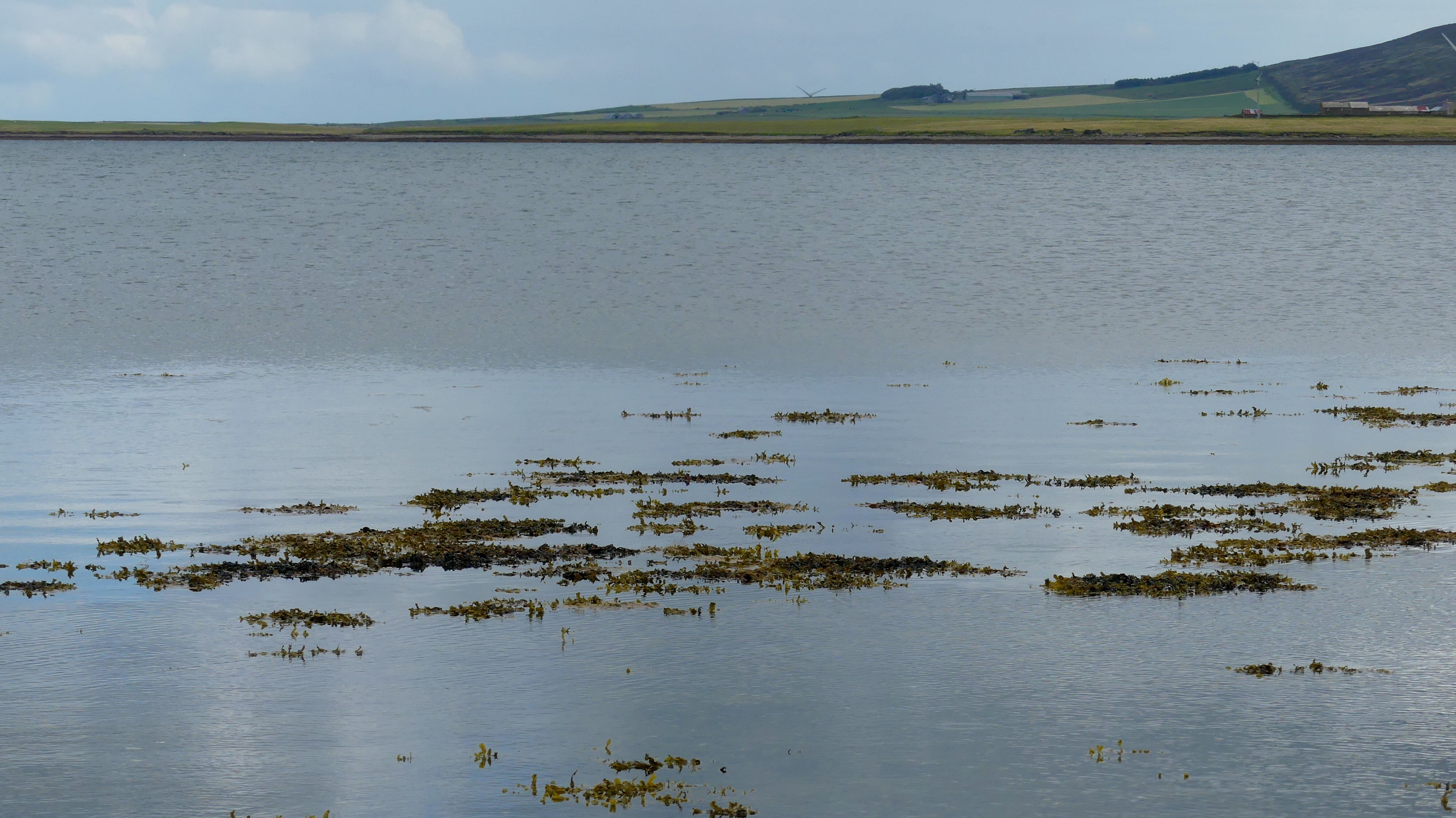 Calm water in the Bay of Firth at Finstown